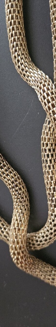 Piazza Sempione  Gold Mesh Multi-Strand Rope Necklace - Picture 5 of 7